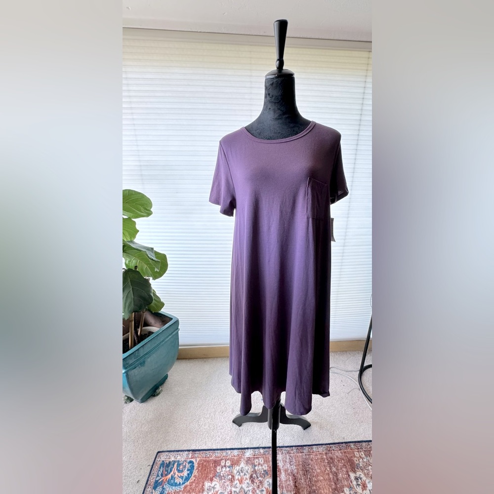 LuLaRoe Carly Dress